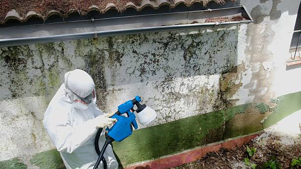 Trusted Commercial Mold Remediation service in Mount Holly Springs, PA - Cheap Mold Removal